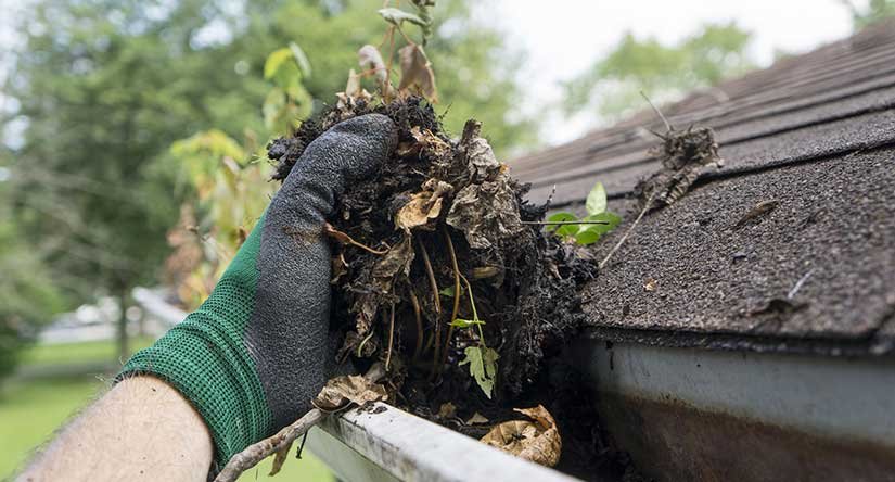 Cranford Gutter Cleaning Services