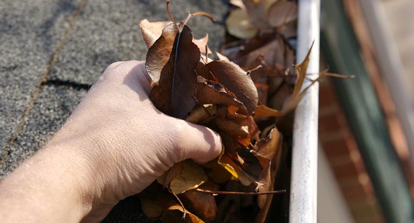 Gutter Cleaning & Repair in Fanwood, NJ