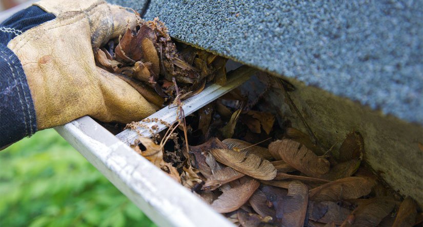 How Often Should You Clean Your Gutters?