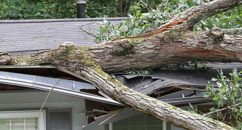 Roof Damage in Westfield, NJ