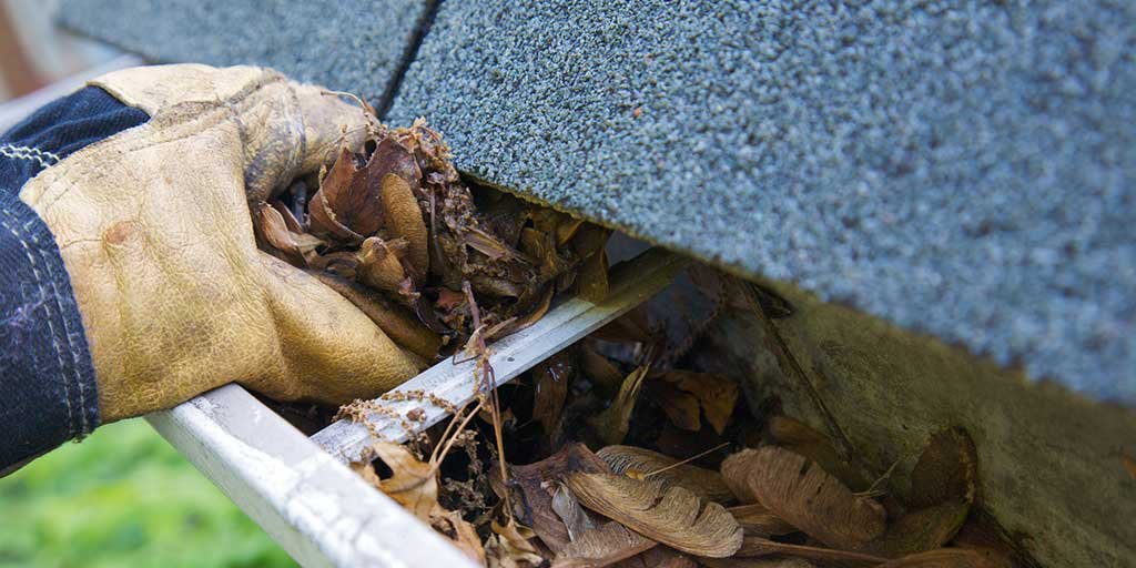 Clogged Gutters