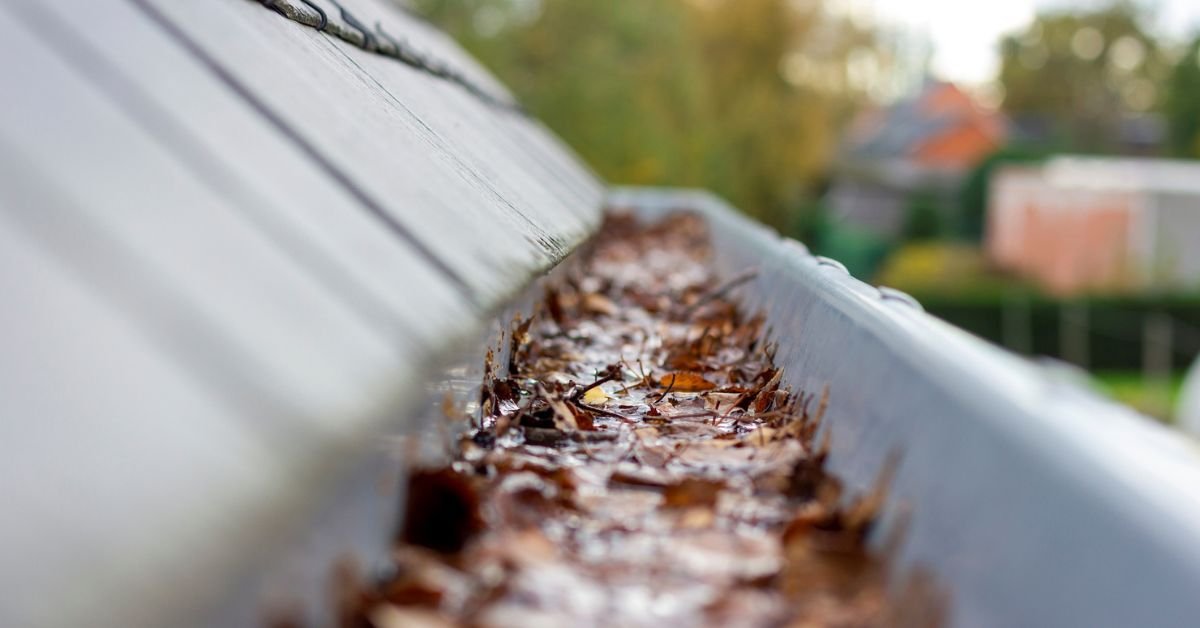 Gutter Cleaning in Cranford, NJ