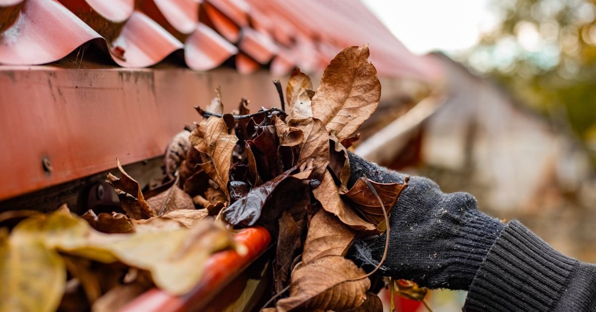 Gutter Cleaning in Berkeley Heights, NJ Gutter Cleaning in Berkeley Heights, NJ